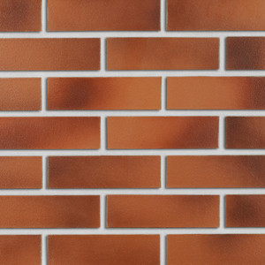 Darwin red and brown smooth